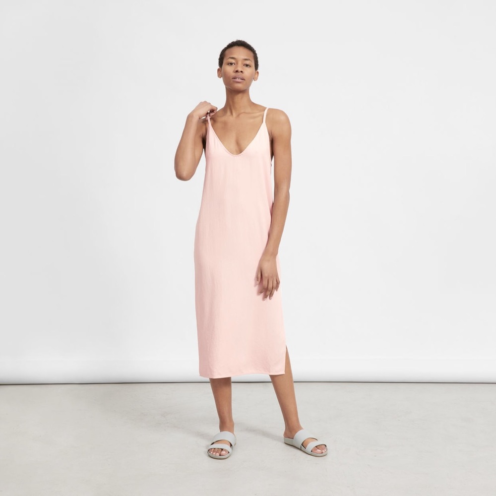 Everlane Japanese GoWeave Slip Dress
